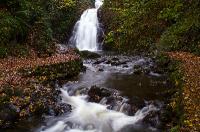 PICT0004proc2 Glenoe Falls, County Antrim, Northern Ireland
