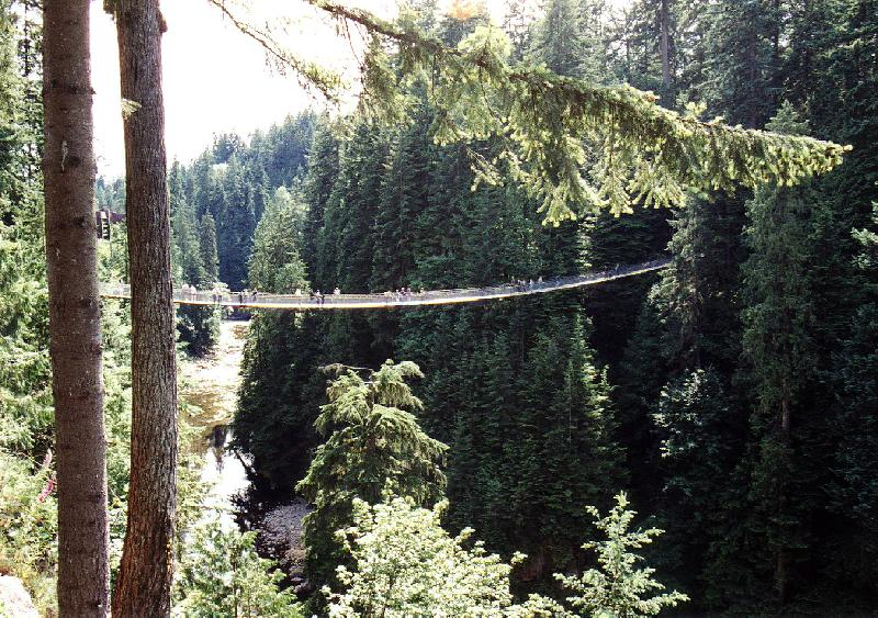 capil1 Capilano Suspension Bridge, North Vancouver