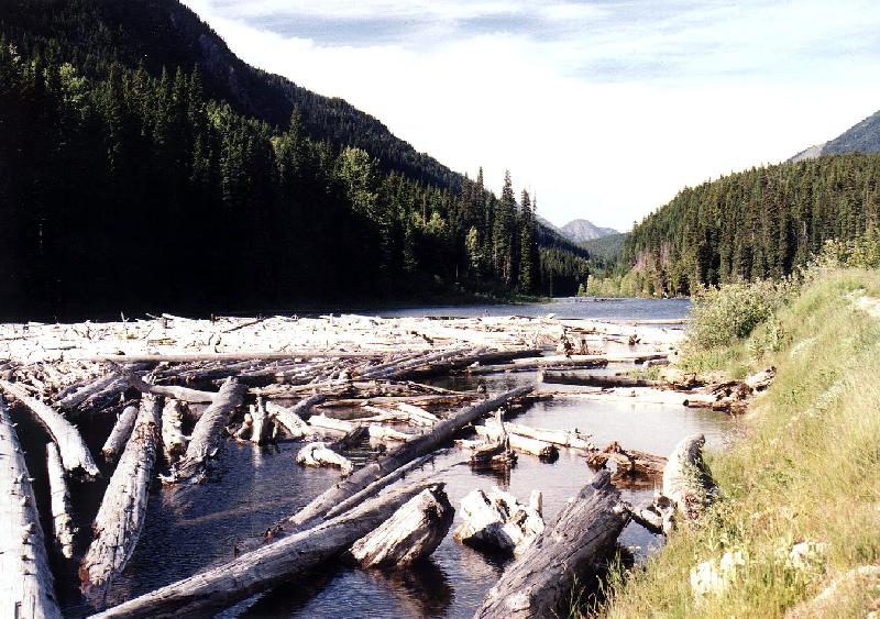 mtns2 Coast Mountains nr Whistler
