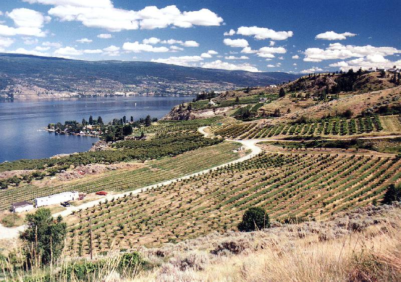 okanag2 Okanagan Valley
