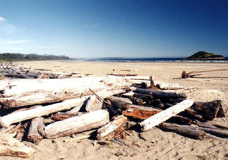 tofino2 Tofino, Vancouver Island