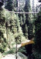 capil4 Capilano Suspension Bridge, North Vancouver