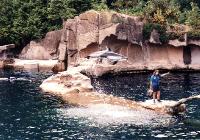 vanaqur1 Vancouver Aquarium