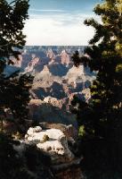 gc9503011 Grand Canyon, Arizona, USA - March 1995