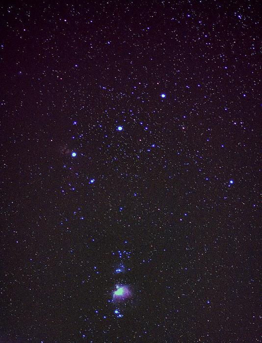 PICT0011proc Orion Sword and Belt, M42, M43 and Flame Nebula